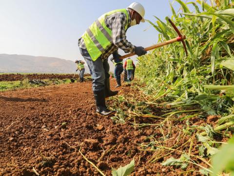 Walid working on the agricultural road in Bekaa.